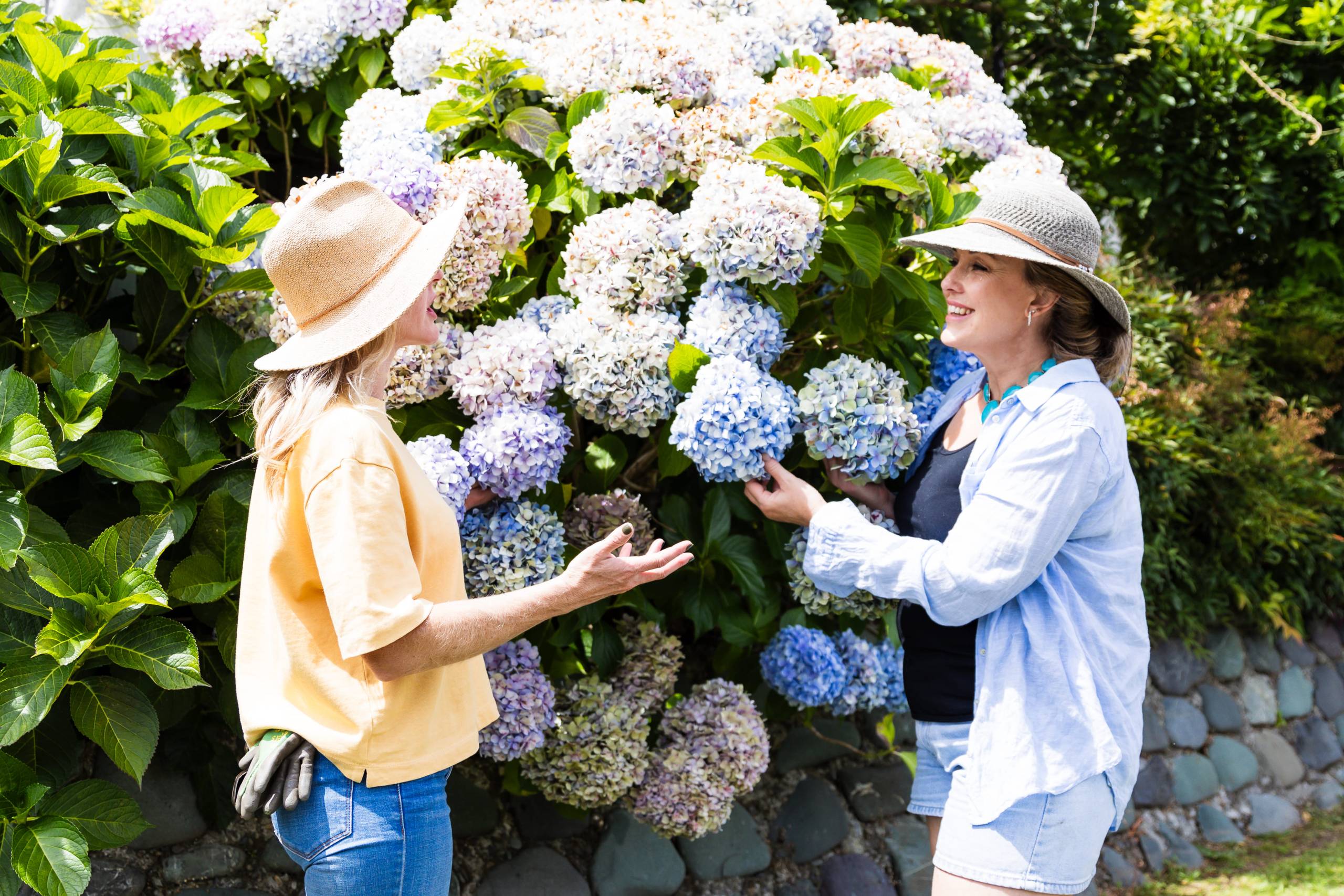 Your Garden Guide team